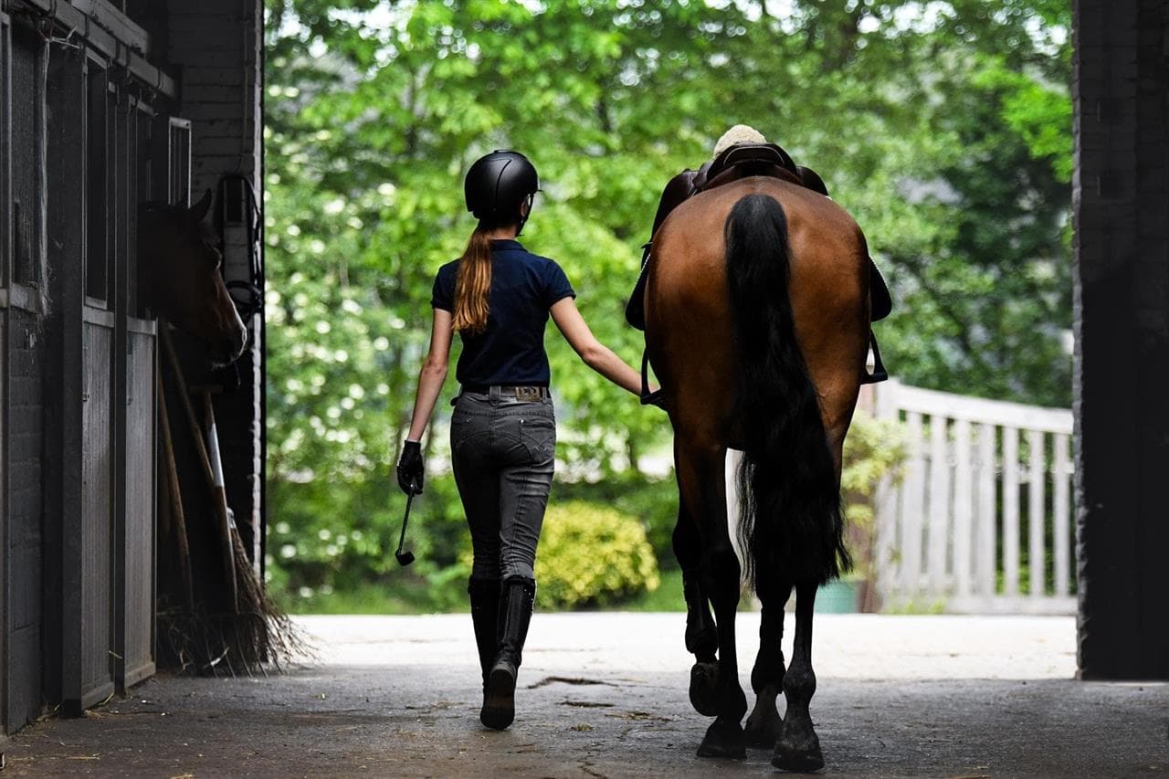 Seguro para caballos