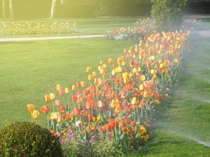 Mantenimiento de jardines en espacios urbanos